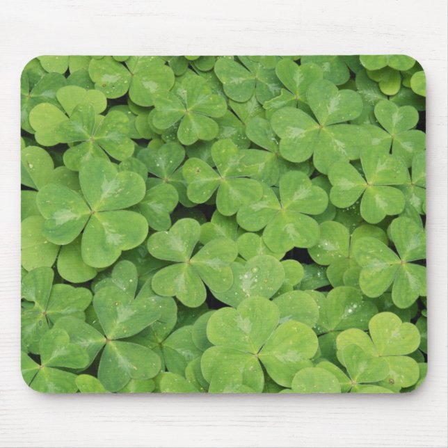 View of Oxalis Oregana wood Sorrel Foliage Mouse Mat (Front)