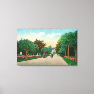 View of Palm Avenue at Sutro Heights Canvas Print