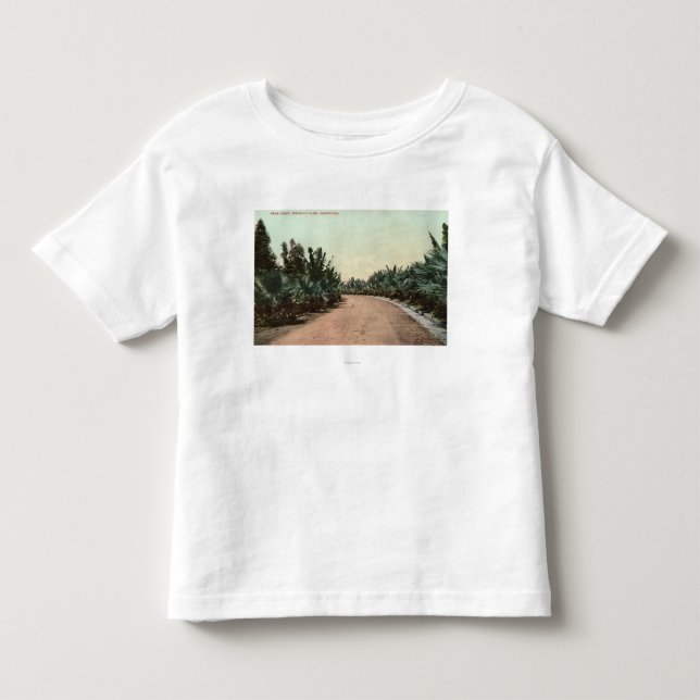 View of Palm Drive Toddler T-Shirt (Front)
