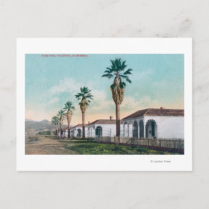 View of Palm RowCalistoga, CA Postcard