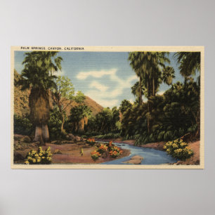 View of Palm Springs Canyon Poster