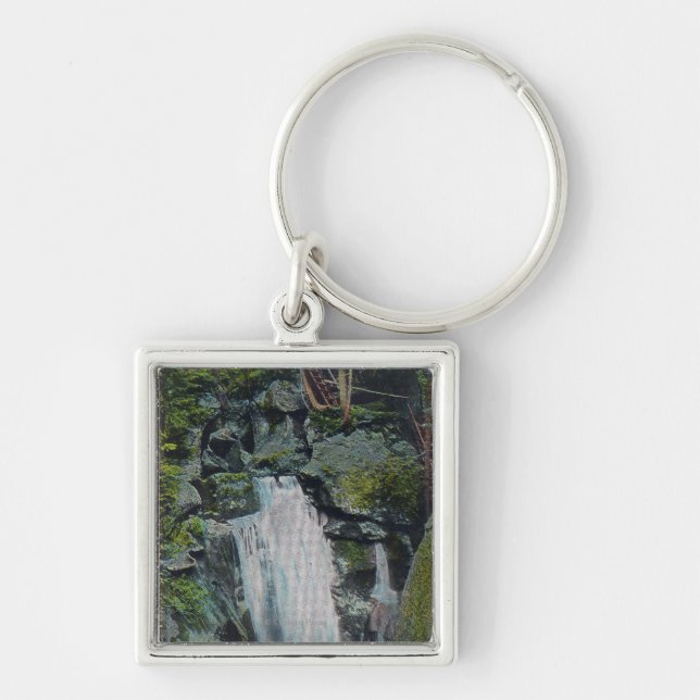 View of Paradise Falls Key Ring (Front)