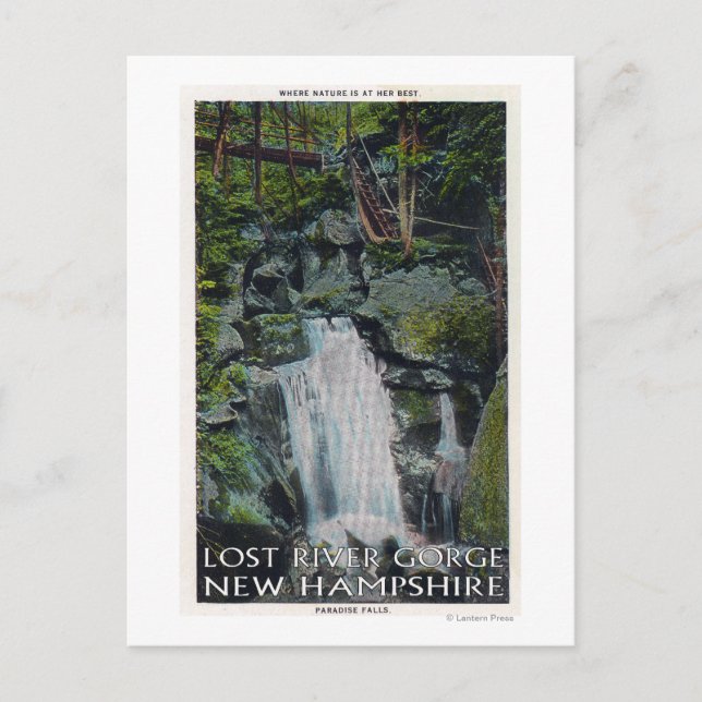View of Paradise Falls Postcard (Front)