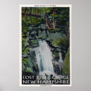 View of Paradise Falls Poster