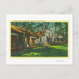 View of Pioneer Town at Big Trees Park Postcard