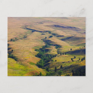 View of Plains Surrounding Bear Butte, SD Postcard