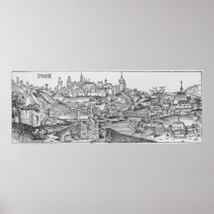 View of Prague Poster
