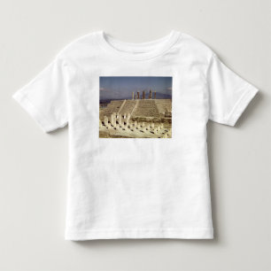 View of Pyramid B, Pre-Columbian Toddler T-Shirt