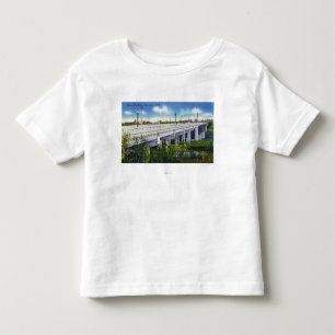View of Queen City Bridge Toddler T-Shirt