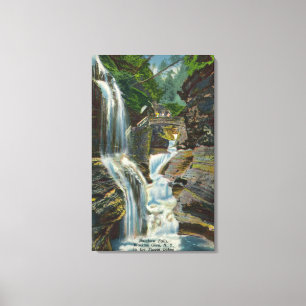 View of Rainbow Falls and Bridge Canvas Print