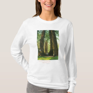 View of Redwood Twins at Big Tree Grove T-Shirt