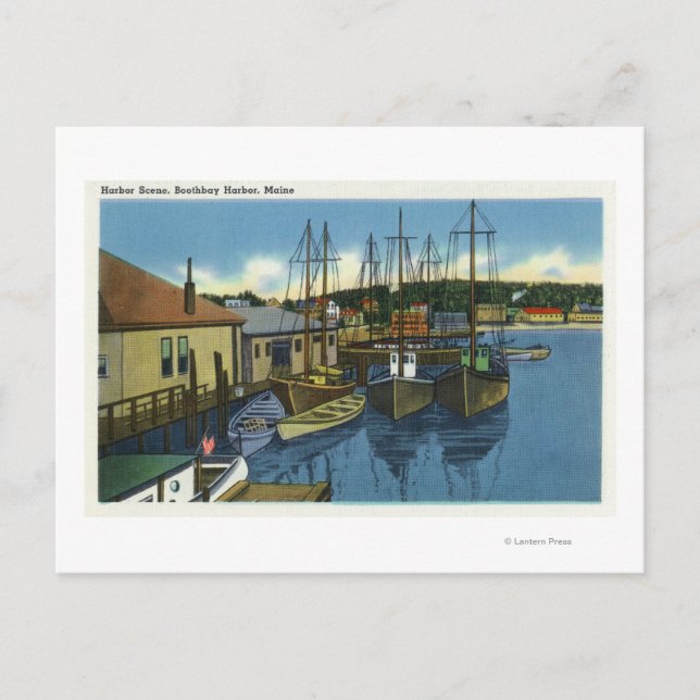 View of Sailboats Docked in the Harbour Postcard (Front)