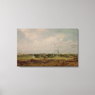 View of Salisbury Canvas Print