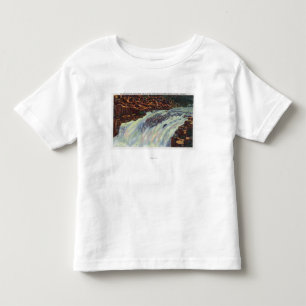 View of Salmon Jumping Punch Bowl Falls Toddler T-Shirt
