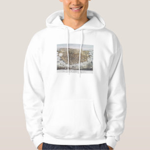 View Of San Francisco, 1878 Hoodie
