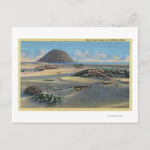 View of Sand Dunes Alongside the Coast Postcard