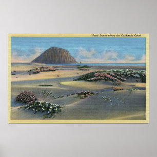 View of Sand Dunes Alongside the Coast Poster