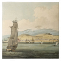 View of Santa Cruz, plate 3 from 'A Voyage to Coch