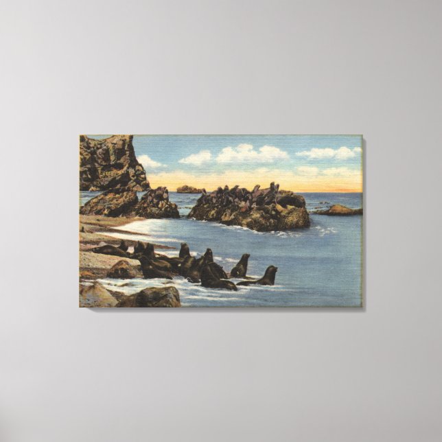 View of Seal Rocks with Seals Canvas Print (Front)