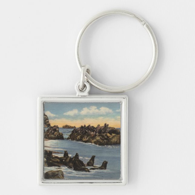 View of Seal Rocks with Seals Key Ring (Front)