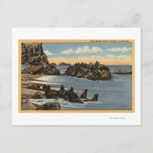 View of Seal Rocks with Seals Postcard