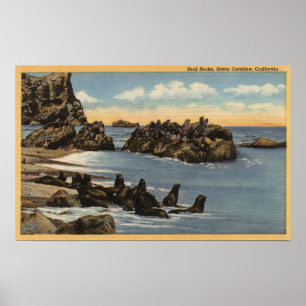 View of Seal Rocks with Seals Poster