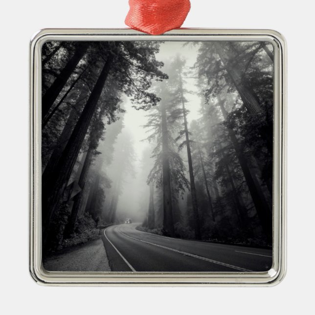 View Of Sequoia Trees In Forest Metal Tree Decoration (Front)