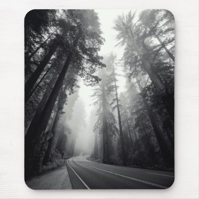 View Of Sequoia Trees In Forest Mouse Mat (Front)