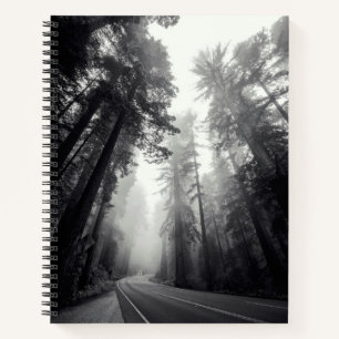 View Of Sequoia Trees In Forest Notebook