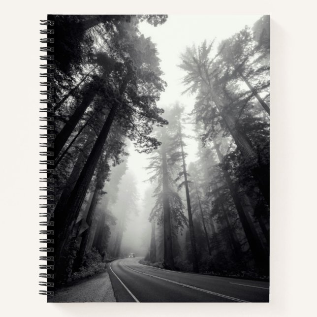 View Of Sequoia Trees In Forest Notebook (Front)