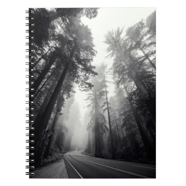 View Of Sequoia Trees In Forest Notebook (Front)