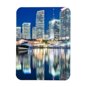View of skyline with reflection in water, Miami Magnet