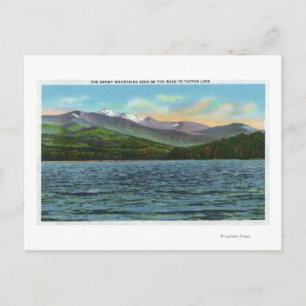 View of Snowy Mts from the Tupper Lake Road Postcard
