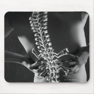 View of spinal chord mouse mat