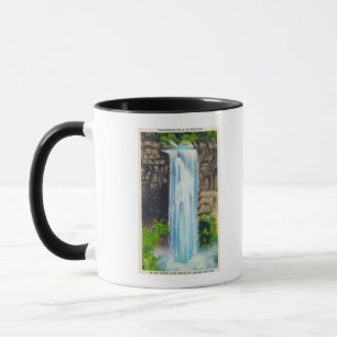 View of Taughannock Falls Mug
