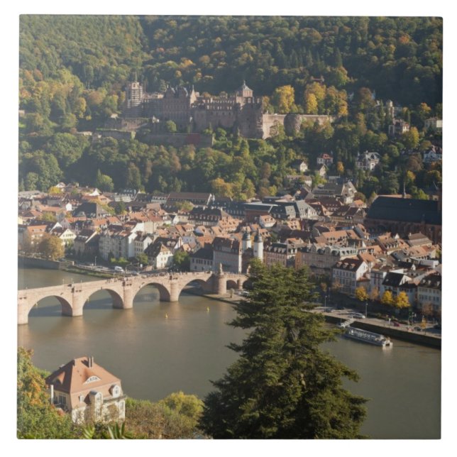 View of the Alte Brucke or Old Bridge Tile (Front)