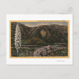 View of the Arrowhead - San Bernardino Mts., CA Postcard