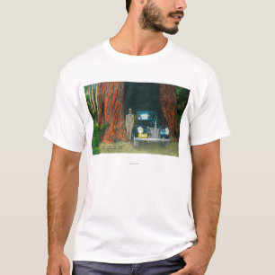 View of the Auto TreeBig Basin State Park, CA T-Shirt