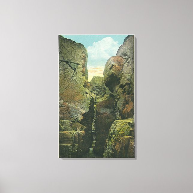 View of the Bald Head Cliff Crevice Canvas Print (Front)