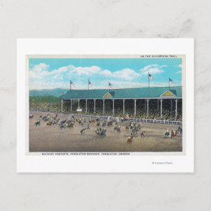 View of the Bucking Contests Postcard