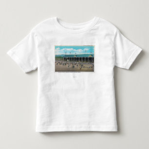 View of the Bucking Contests Toddler T-Shirt