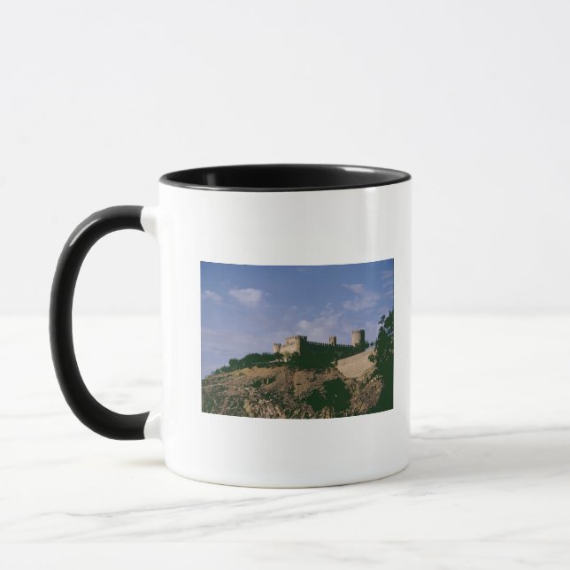 View of the castle mug (Left)