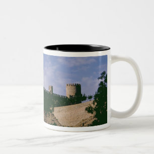 View of the castle Two-Tone coffee mug