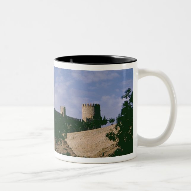 View of the castle Two-Tone coffee mug (Right)