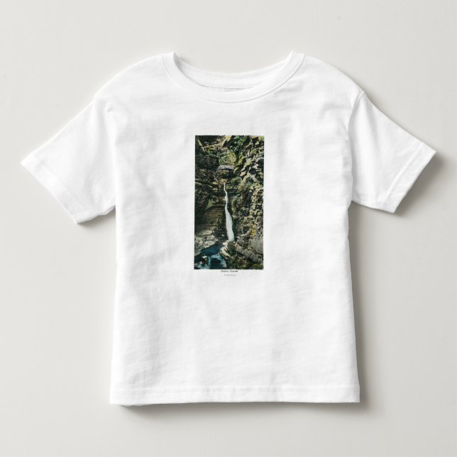 View of the Central Cascade Toddler T-Shirt (Front)