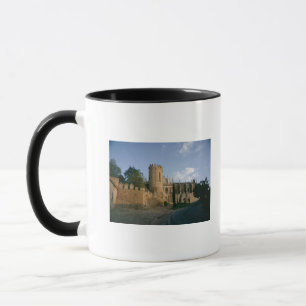 View of the city mug