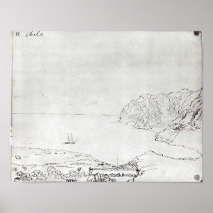 View of the coast off Chile Poster