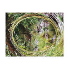 View of the creek.....