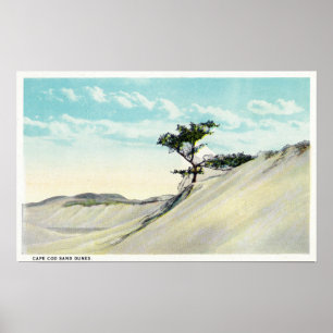 View of the Dorothy Bradford Steamer Poster