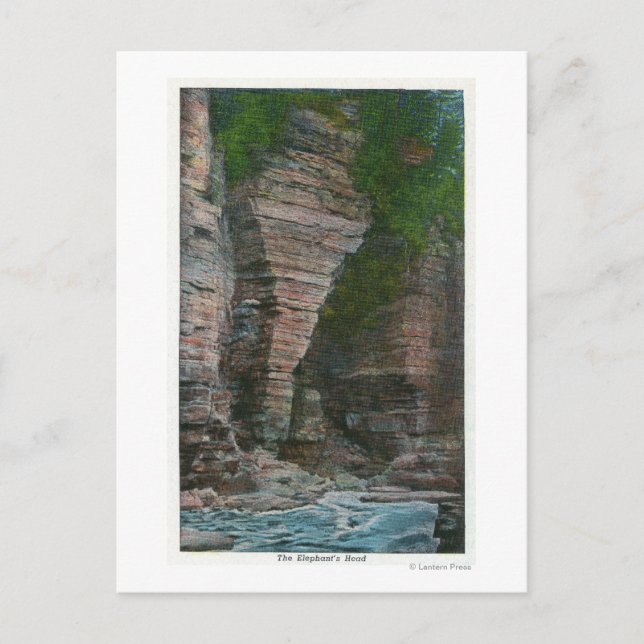 View of the Elephant's Head Postcard (Front)